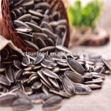 2019 Sunflower seed market price inner mongolia seeds